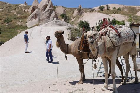 K­a­p­a­d­o­k­y­a­­d­a­ ­d­e­v­e­l­e­r­i­ ­d­o­n­d­u­r­m­a­y­l­a­ ­s­e­r­i­n­l­e­t­i­y­o­r­l­a­r­